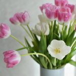 Warum eine Kupfermünze in eine Vase mit Tulpen stellen: die vergessene Chemie der resistenten Stängel