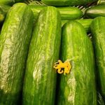 Was passiert, wenn es bei gesunder Ernährung nicht um Grünkohl und Avocado geht, sondern um Erschwinglichkeit: Wie Sie sich richtig ernähren können, ohne Ihren Geldbeutel zu strapazieren