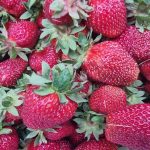 Was passiert, wenn man ein Erdbeerbeet mit Sägespänen abdeckt: Der schmale Grat zwischen Mulch und Problem