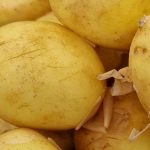 Was passiert, wenn man Kartoffeln austrocknen lässt: Warum nasse Knollen nicht knackig werden