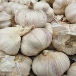 Was passiert, wenn man Knoblauch bis zum Frühjahr auf dem Beet liegen lässt: eine Strategie, um eher Zwiebeln als Köpfe zu bekommen