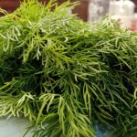 Was passiert, wenn Sie Ihr Gemüse in Olivenöl statt in Wasser einfrieren: eine kulinarische Zeitkapsel für den Geschmack