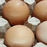 Wie viel Eiweiß Sie wirklich brauchen: Warum allgemeine Formeln fast immer lügen